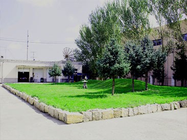 Company Profile